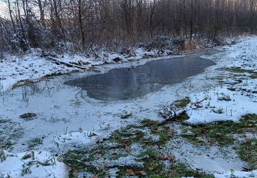 Tocht Stappen Theux - bronromme, premières neige hivers 23-24 - Photo