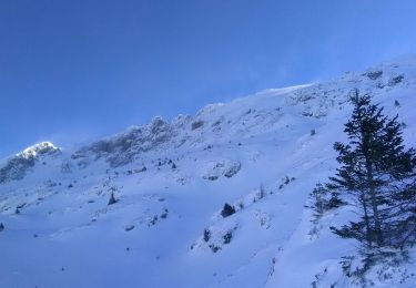 Trail Touring skiing Saint-Honoré - st Honoré M'ont Tabor - Photo