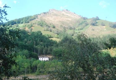 Trail On foot Zubieta - Aurkidiko itzulia - Photo