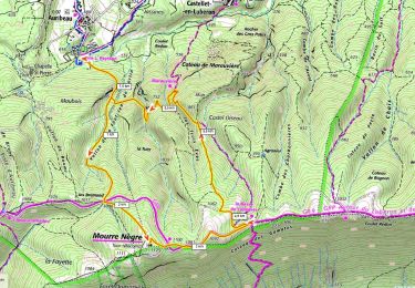 Tocht Stappen Auribeau - Mourre Nègre 610m+ boucle depuis Auripeau - Photo