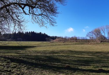 Randonnée A pied Manzat - La Roche de Sauterre - Photo