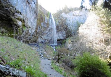 Tour Wandern Mont-Dore - 23-MAI-19 12.08.22 - Photo