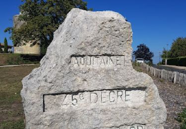 Randonnée Marche Saint-André-de-Cubzac - Campagne St André - Plagne / Chateau du Bouilh - Photo