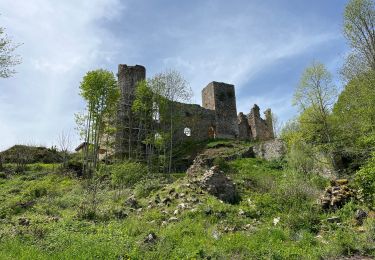 Trail Walking Champoly - Tour du Château d’Urfé - Photo