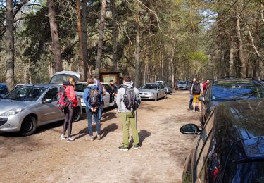 Excursión Senderismo Noisy-sur-École - Sentier des 25 bosses (1ère moitié) - Photo