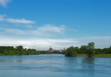 Tocht Te voet Pavia - Pavia-Ponte della Becca (Greenway) - Photo