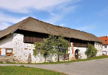 Randonnée A pied Hellmonsödt - Wanderweg 18 - Photo