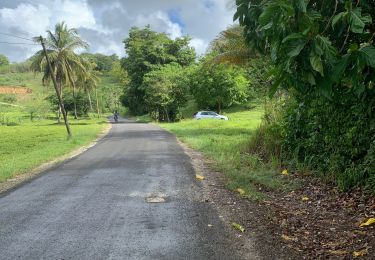 Tocht Trail Sainte-Anne - La boucle  - Photo