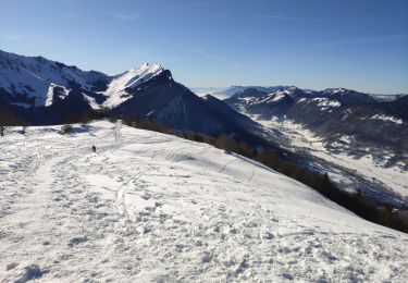 Trail Walking Jarsy - Bauges 2021: Jarzy - plan de la Limace - plan Molard.ori - Photo