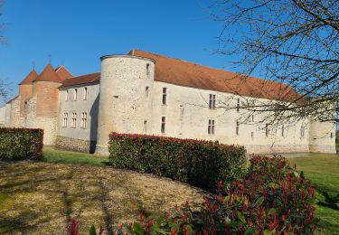 Trail Walking Verdelot - Verdelot du 18-03-2025 - Photo