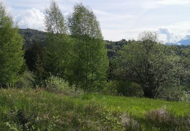 Tocht Noords wandelen Savièse - tsampe - Photo