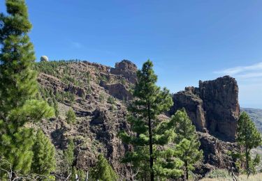 Trail Walking Tejeda - Pico de las Nieves (Gran Canaria) - Photo