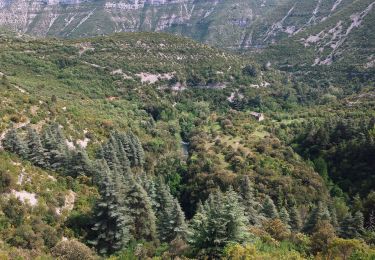 Tocht Te voet Blandas - Randonnée Cirque de Navacelles - Causse de Blandas - Vissec - Moulin de la Foux - Photo