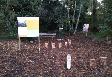 Tocht Te voet Heusden-Zolder - Eversel Blauwe ruit - Photo