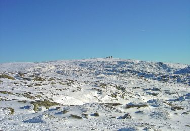 Randonnée A pied Loriga - Rota da Garganta de Loriga - Photo