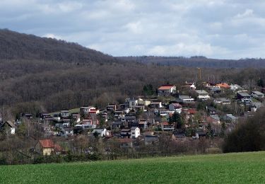 Excursión A pie Bürgerwald - Rundweg Michelau M6 - Photo