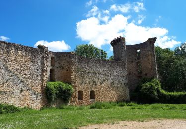 Tocht Stappen Chevreuse - 210527 chateau de la Madeleine - Photo