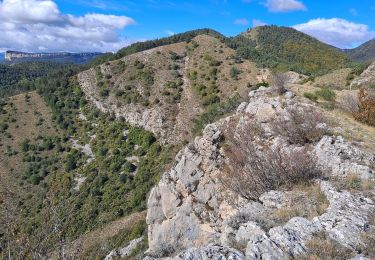 Trail Walking Vitrolles - Pic de Crigne - Photo