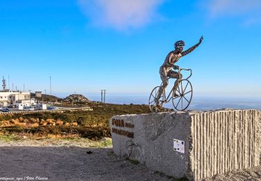 Randonnée A pied Monchique - Fóia e área envolvente (Rota da Geologia) - Photo