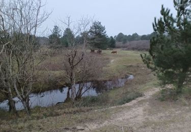 Tocht Stappen Dannes - M'ont Saint Frieux - Photo