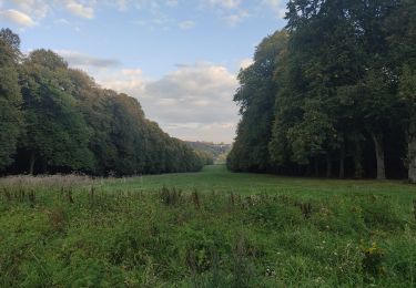 Randonnée Marche Clamart - Meudon châtaignes  - Photo