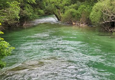 Randonnée Marche Saint-Cézaire-sur-Siagne - Le canal et la rivière de la Siagne  - Photo