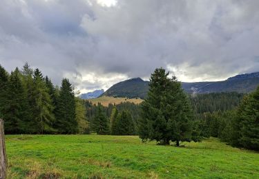 Excursión Senderismo Fillière - Chalet des Auges - Photo