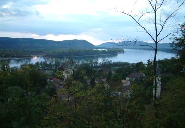 Trail On foot Nagymaros - Z3 ( Kövesmező-Kismaros ) - Photo