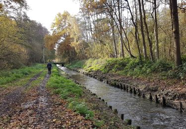 Tocht Stappen Diepenbeek - Diepenbeek  - Photo