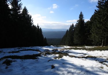 Tocht Te voet Wernigerode - Wegenetz Schierke - Brocken - Photo