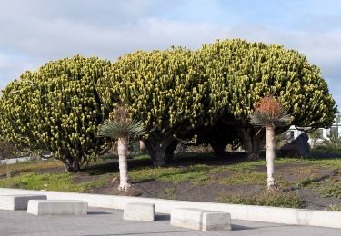 Percorso A piedi Teguise - Paseo 2 - Photo