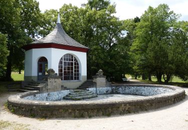 Tour Zu Fuß Saalfeld/Saale - Rundwanderweg Südstadt - Photo