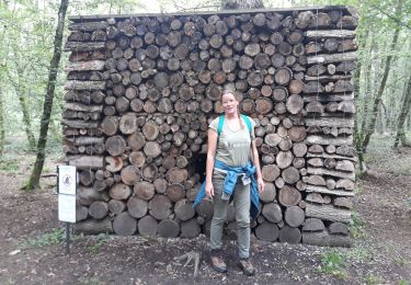 Percorso Marcia Somme-Leuze - Sentiers dArt Julie et Val 29/08/21 - Photo