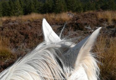 Tour Reiten Moussey - fady col de praye  - Photo