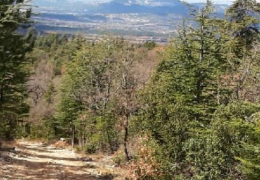 Trail Walking Villes-sur-Auzon - LES ESCAMPEAUX - Photo