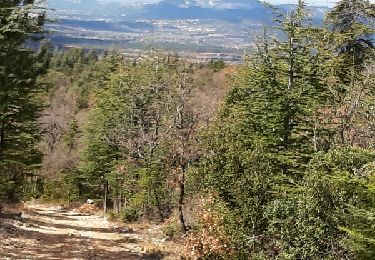 Randonnée Marche Villes-sur-Auzon - LES ESCAMPEAUX - Photo