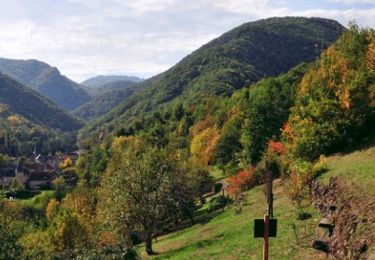 Trail Walking Courgoul - Courgoul_Pic_Cluzel_Tour - Photo