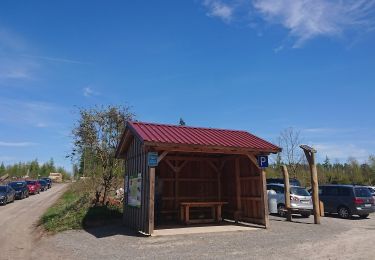 Tour Zu Fuß Willebadessen - Alte Eisenbahn Rundweg A3 - Photo