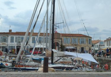 Percorso Bici ibrida Saint-Martin-de-Ré - Le phare des Baleines depuis St Martin de Ré  - Photo