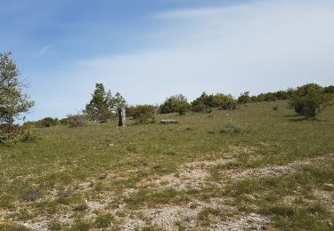 Tocht Noords wandelen Saint-Pierre-de-la-Fage - St Pierre de la Fage La Vacquerie Le Causse - Photo