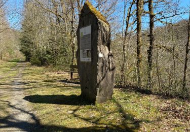 Randonnée Marche Bertrix - More et pire - Mortehan - Photo