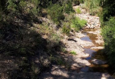 Excursión Marcha nórdica Fréjus - MN - Colle Douce - Carrefour Castelli - Photo