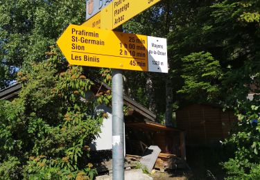 Tocht Noords wandelen Arbaz - mayens de la Zour  - Photo
