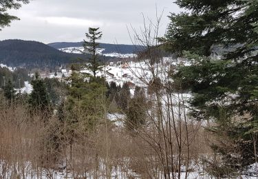 Excursión Raquetas de nieve Gérardmer - herardmer 1 - Photo