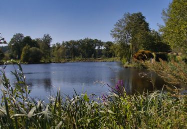 Randonnée Marche Tourouvre au Perche - Parcours de découverte de la Réserve de Bresolettes 4,2 km - Photo