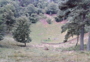Trail Walking Aydat - 2019-09-08 Puy de Vichatel - Photo