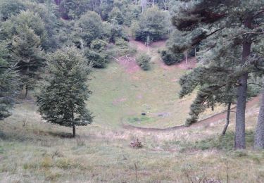 Excursión Senderismo Aydat - 2019-09-08 Puy de Vichatel - Photo