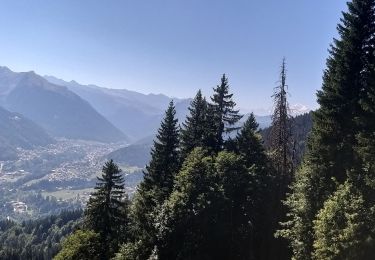 Tour Wandern Saint-Jean-d'Aulps - Joranloup par télécabine  - Photo