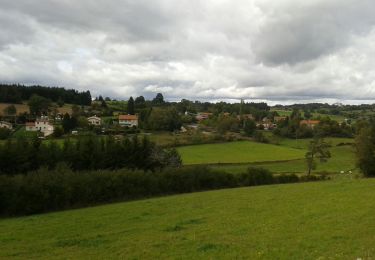 Trail Walking Saint-Pal-de-Chalencon - chier Marty st Pal en Chalencon  - Photo