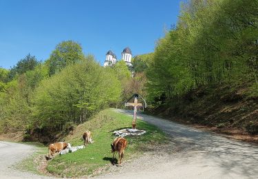 Trail On foot Unknown - Culmea Pietriceaua (traseul CR) - Turnu Roșu - Photo